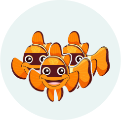 a group of clown fish