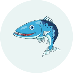 Barracuda Icon