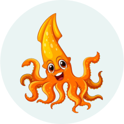 Beginner Adult - Squid (1)