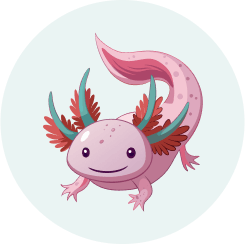 Beginner Teen - Axolotl (1)