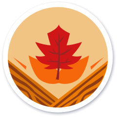 Fall-II 2024
