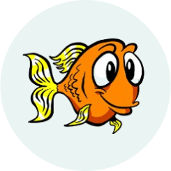 Goldfish New