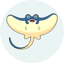 PREPARE 4 Competition I - stingray Icon
