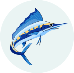 PREPARE 4 Competition III - Sword Fish Icon