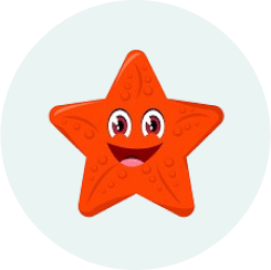 Starfish Icon